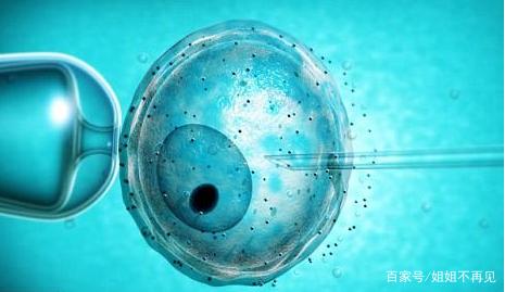 代生男孩包性别